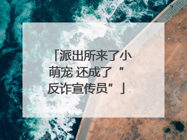 派出所来了小萌宠 还成了“反诈宣传员”