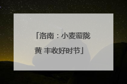 洛南：小麦覆陇黄 丰收好时节