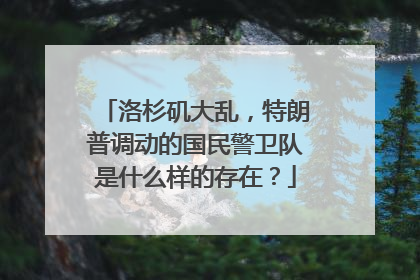 洛杉矶大乱，特朗普调动的国民警卫队是什么样的存在？