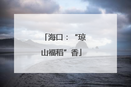 海口：“琼山福稻”香