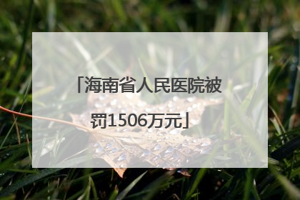 海南省人民医院被罚1506万元