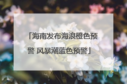 海南发布海浪橙色预警 风暴潮蓝色预警