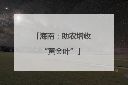 海南：助农增收 “黄金叶”