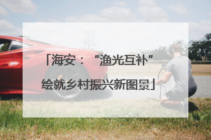 海安：“渔光互补” 绘就乡村振兴新图景