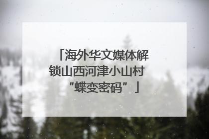 海外华文媒体解锁山西河津小山村“蝶变密码”