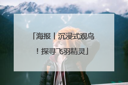 海报丨沉浸式观鸟！探寻飞羽精灵