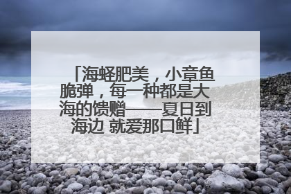 海蛏肥美，小章鱼脆弹，每一种都是大海的馈赠——夏日到海边 就爱那口鲜