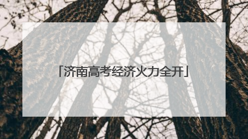 济南高考经济火力全开