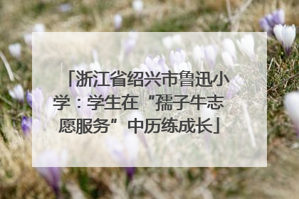 浙江省绍兴市鲁迅小学：学生在“孺子牛志愿服务”中历练成长