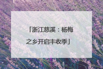 浙江慈溪：杨梅之乡开启丰收季