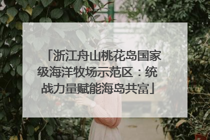 浙江舟山桃花岛国家级海洋牧场示范区：统战力量赋能海岛共富