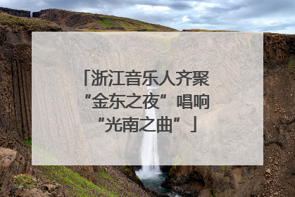 浙江音乐人齐聚“金东之夜”唱响“光南之曲”