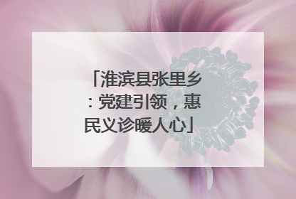 淮滨县张里乡：党建引领，惠民义诊暖人心