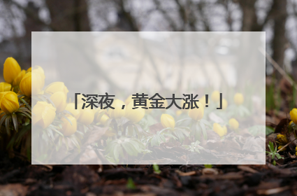 深夜，黄金大涨！
