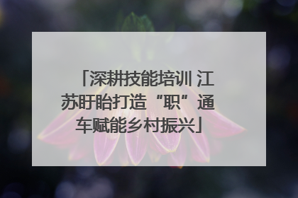 深耕技能培训 江苏盱眙打造“职”通车赋能乡村振兴