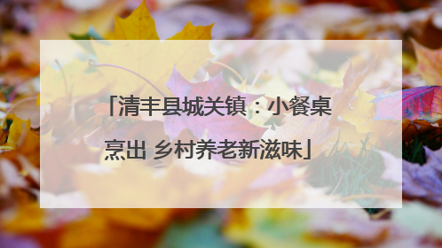 清丰县城关镇：小餐桌烹出 乡村养老新滋味