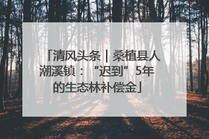 清风头条｜桑植县人潮溪镇：“迟到”5年的生态林补偿金