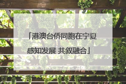 港澳台侨同胞在宁夏感知发展 共叙融合