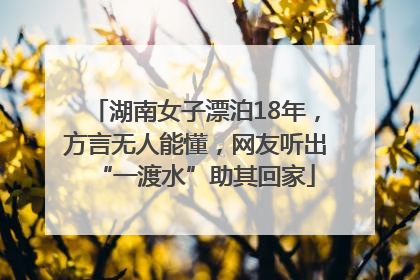 湖南女子漂泊18年，方言无人能懂，网友听出“一渡水”助其回家