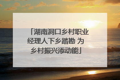 湖南洞口乡村职业经理人下乡踏勘 为乡村振兴添动能