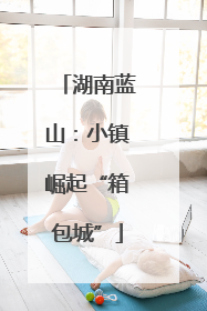 湖南蓝山：小镇崛起“箱包城”