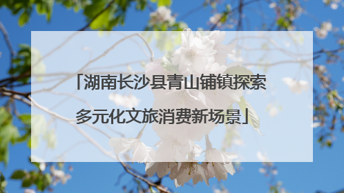 湖南长沙县青山铺镇探索多元化文旅消费新场景