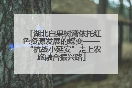 湖北白果树湾依托红色资源发展的蝶变——“抗战小延安”走上农旅融合振兴路