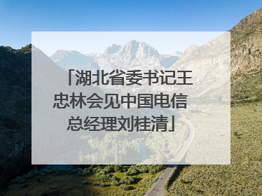 湖北省委书记王忠林会见中国电信总经理刘桂清