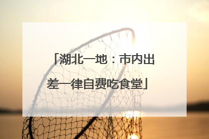 湖北一地：市内出差一律自费吃食堂