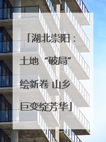 湖北崇阳：土地“破局”绘新卷 山乡巨变绽芳华