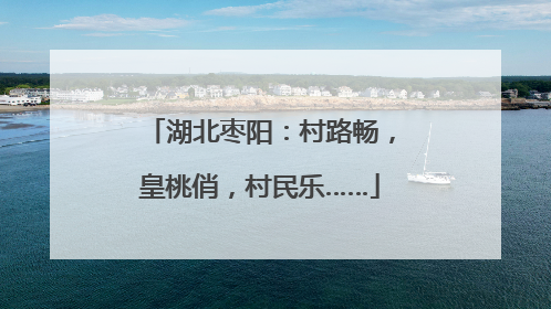 湖北枣阳：村路畅，皇桃俏，村民乐……