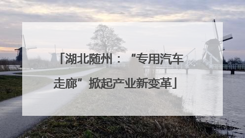 湖北随州：“专用汽车走廊”掀起产业新变革