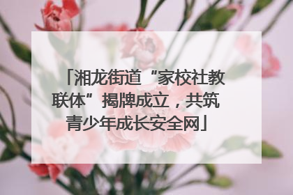 湘龙街道“家校社教联体”揭牌成立，共筑青少年成长安全网