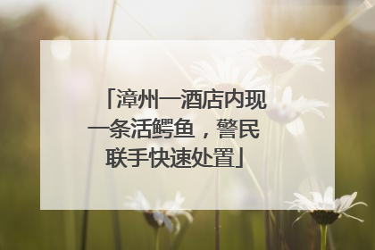 漳州一酒店内现一条活鳄鱼，警民联手快速处置