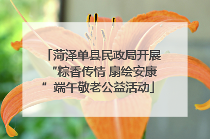 菏泽单县民政局开展“粽香传情 扇绘安康”端午敬老公益活动