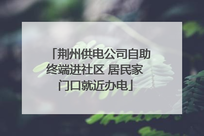 荆州供电公司自助终端进社区 居民家门口就近办电
