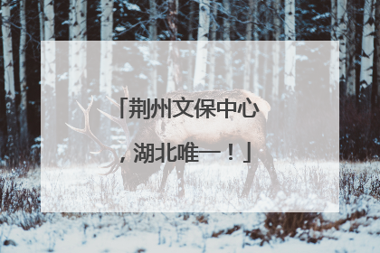 荆州文保中心，湖北唯一！