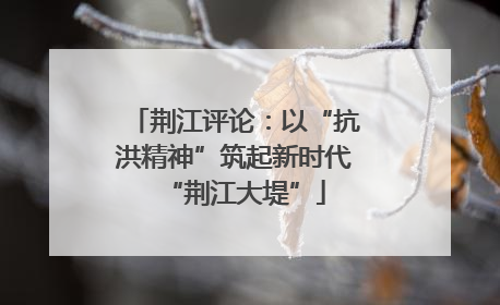荆江评论：以“抗洪精神”筑起新时代“荆江大堤”