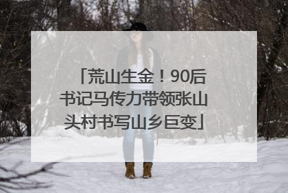 荒山生金！90后书记马传力带领张山头村书写山乡巨变