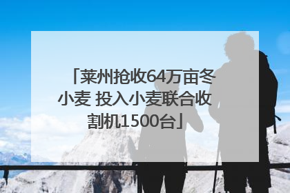 莱州抢收64万亩冬小麦 投入小麦联合收割机1500台