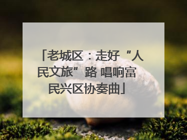 老城区：走好“人民文旅”路 唱响富民兴区协奏曲