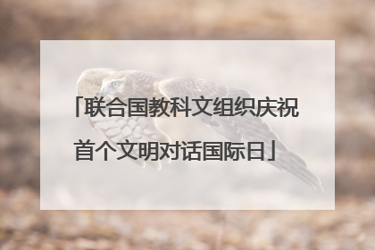 联合国教科文组织庆祝首个文明对话国际日