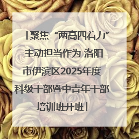 聚焦“两高四着力” 主动担当作为 洛阳市伊滨区2025年度科级干部暨中青年干部培训班开班