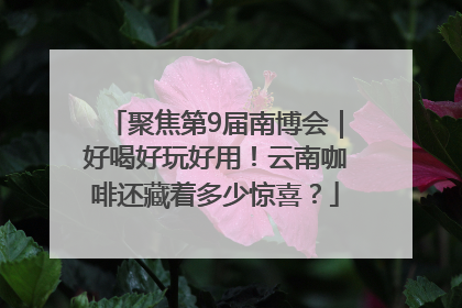 聚焦第9届南博会｜好喝好玩好用！云南咖啡还藏着多少惊喜？