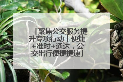 聚焦公交服务提升专项行动丨便捷+准时+通达，公交出行便捷提速