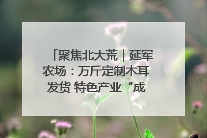 聚焦北大荒｜延军农场：万斤定制木耳发货 特色产业“成绩单”亮眼