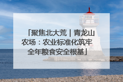 聚焦北大荒｜青龙山农场：农业标准化筑牢全年粮食安全根基