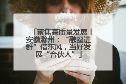 聚焦高质量发展丨安徽滁州：“融圈进群”借东风，当好发展“合伙人”
