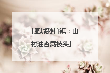 肥城孙伯镇：山村油杏满枝头