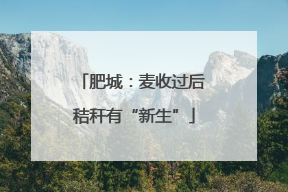 肥城：麦收过后秸秆有“新生”